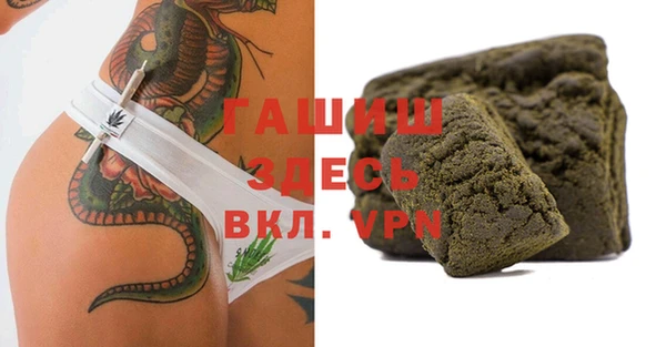 гашик Алексин