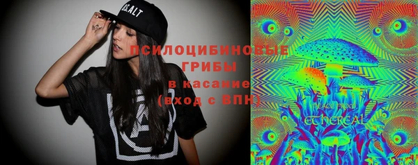 СК Алексеевка