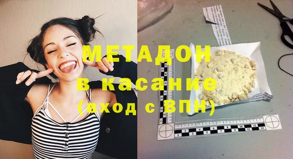 гашик Алексин