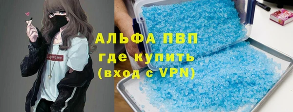 мяу мяу мука Аркадак